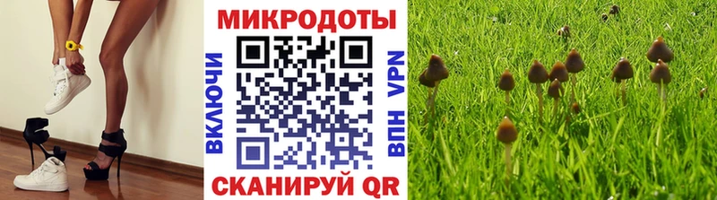 Псилоцибиновые грибы MAGIC MUSHROOMS  хочу   Ядрин 